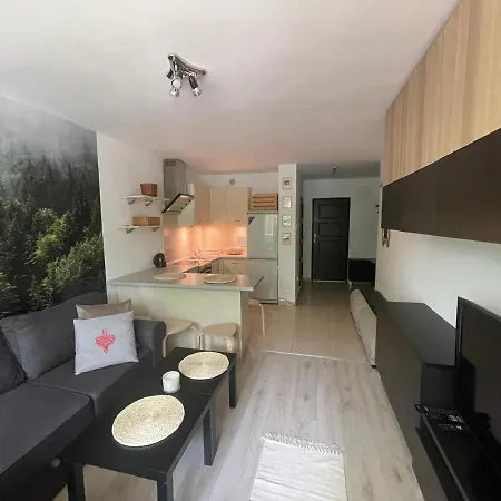 Kasprusie 10 By Homeprime Zakopane Exterior photo