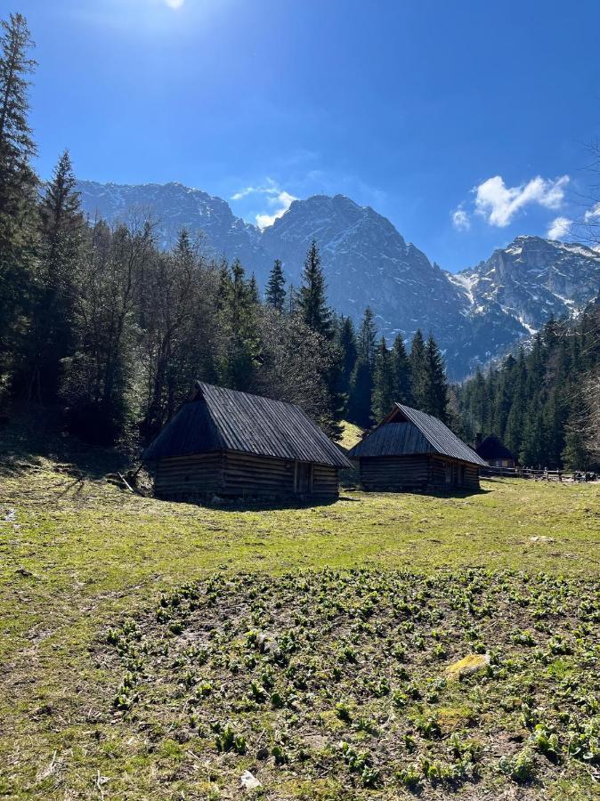 Kasprusie 10 By Homeprime Apartmán Zakopane